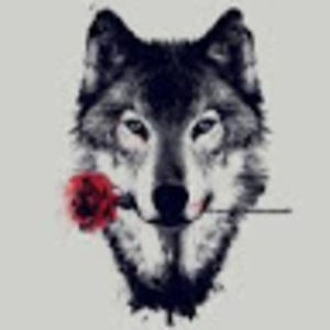 Meet your Posher, Rose